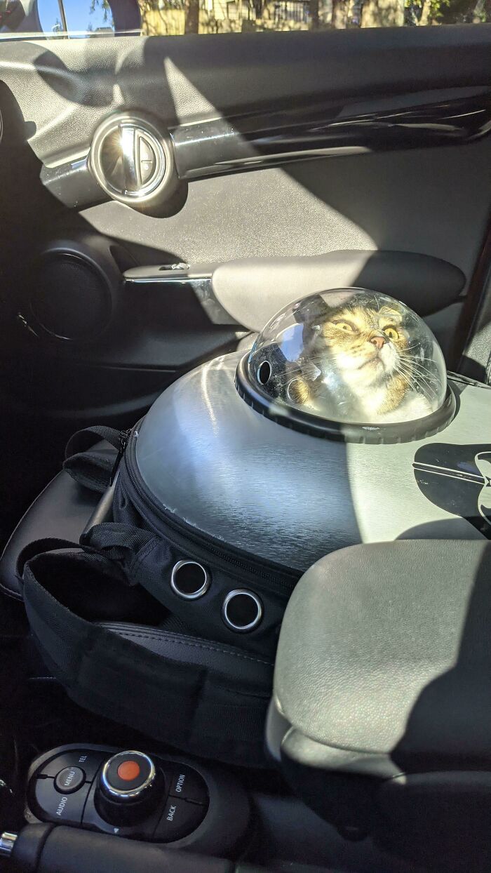 9. She’s currently writing a strongly worded Yelp review in her head.