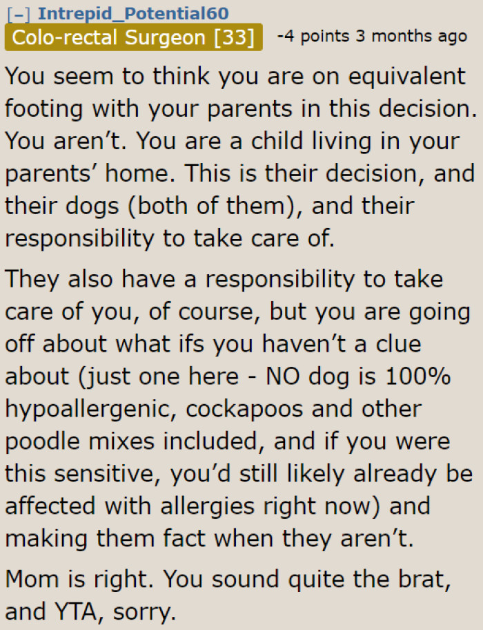 One Redditor isn't on the OP's side, though. He thinks that the mom has the final say, whether she wants a dog or not.