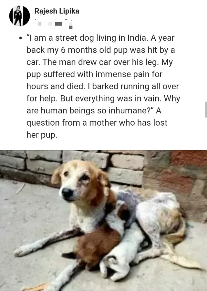 5. These are pretty sad questions