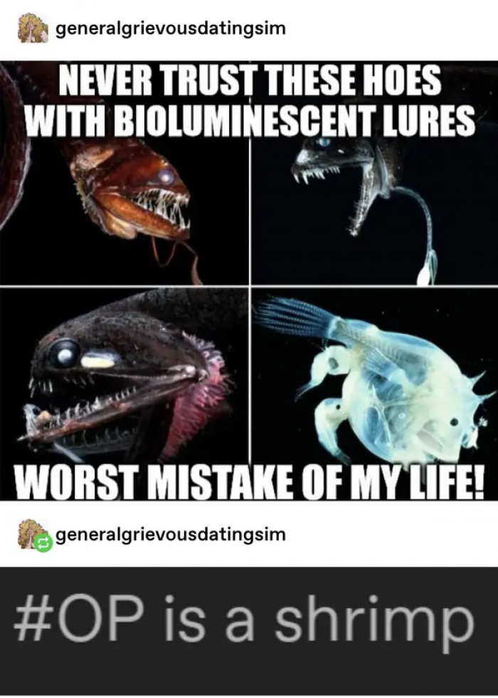 15. This is some questionable authorship