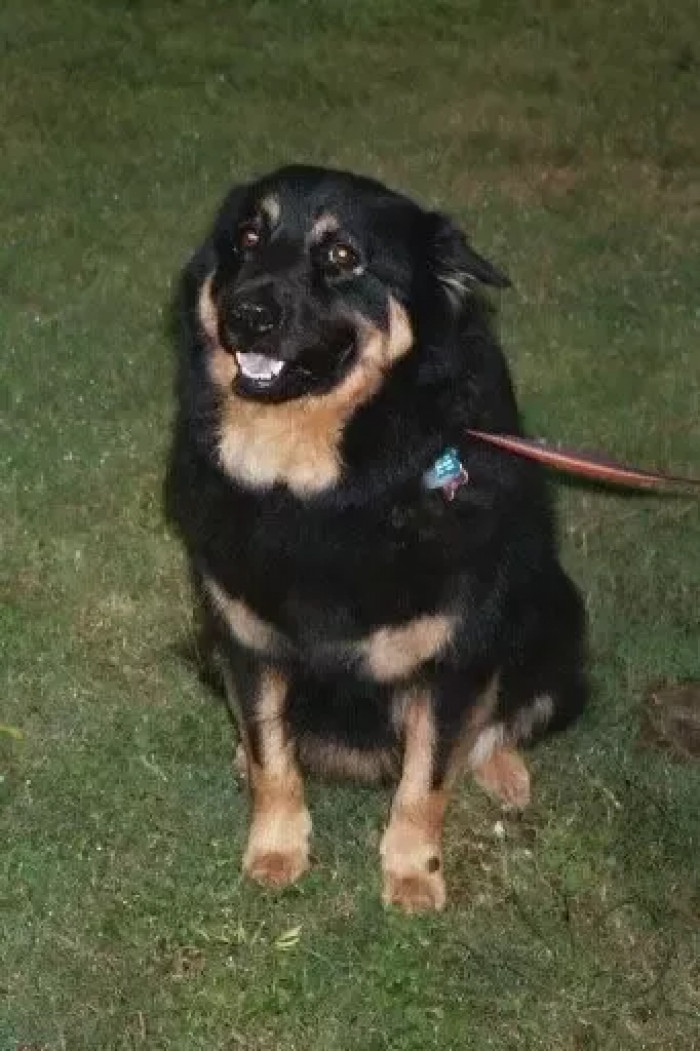 16. Love at first sight