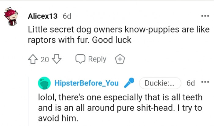 13. Raptors with fur