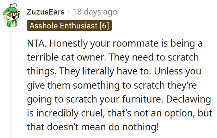 18. Cats need to scratch and unless they're given something to scratch, they will scratch on what they can