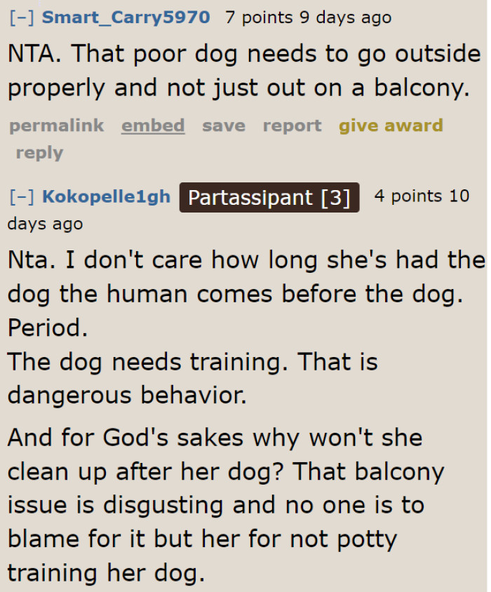 Someone needs to walk this dog so it won't poop and pee on the balcony.