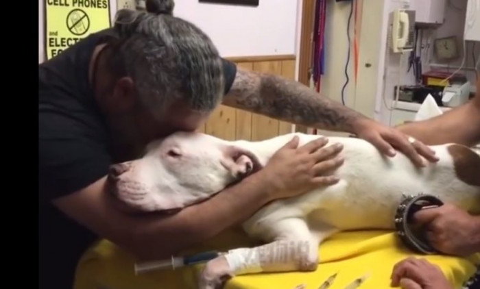 Even with how tough he looks, this man didn't waste any time in making his final goodbyes and kisses to his dog.