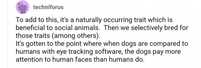 Or that it is part of how selective breeding played out during domestication