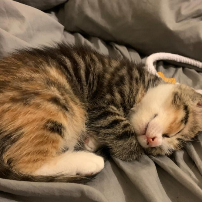 And She Decided Not to Leave