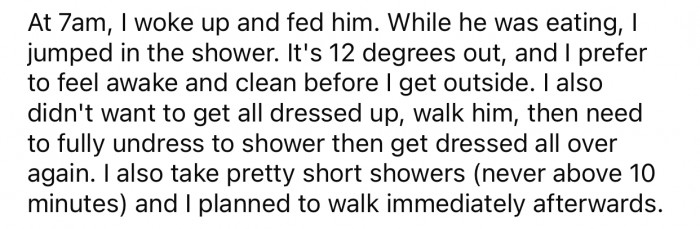 OP decided to take a brief shower before walking the dog and never expected things to go the way they did.