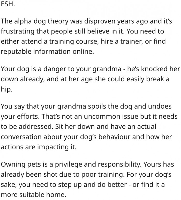 4. She needs to be more responsible in caring for the dog.