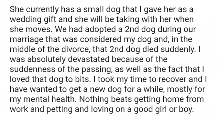 I have wanted a new dog for a while now