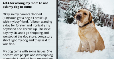Woman Gets Angry At Her Parents For Spoiling Her Dog And Ruining Its $2,000 Training, Now They Want Her To Move Out