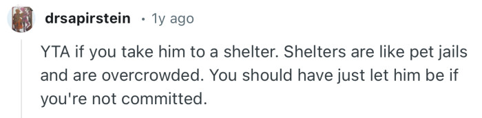 “YTA if you take him to a shelter. Shelters are like pet jails and are overcrowded.”