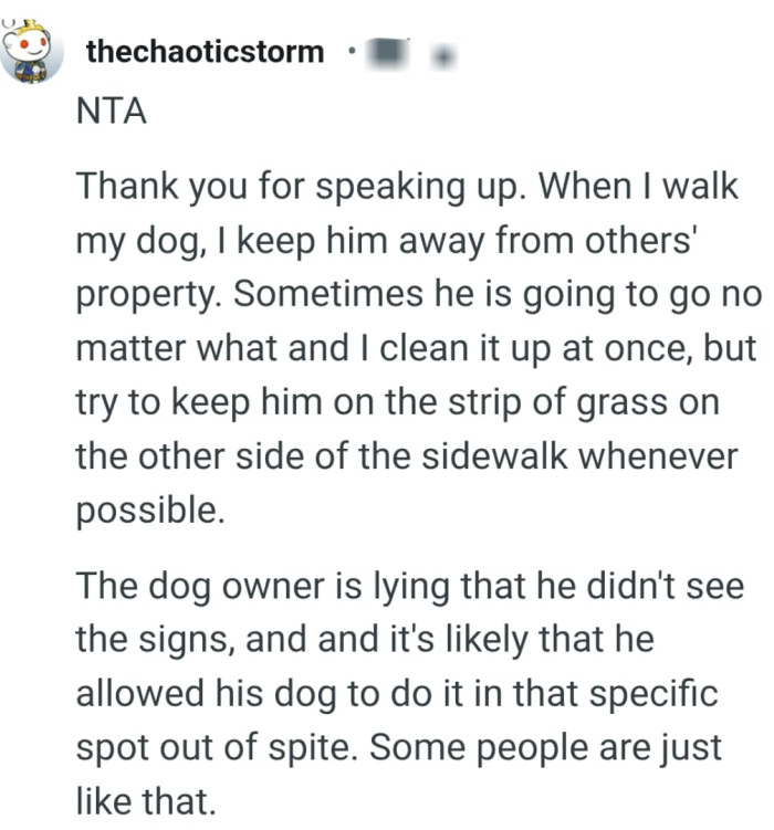 Trying to keep the dog on a strip of grass