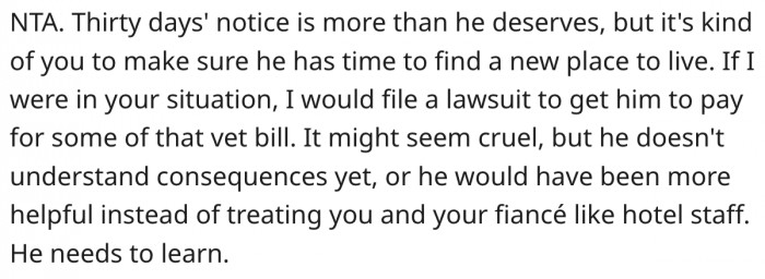 4. She could file a lawsuit to get him to pay for the vet bill.