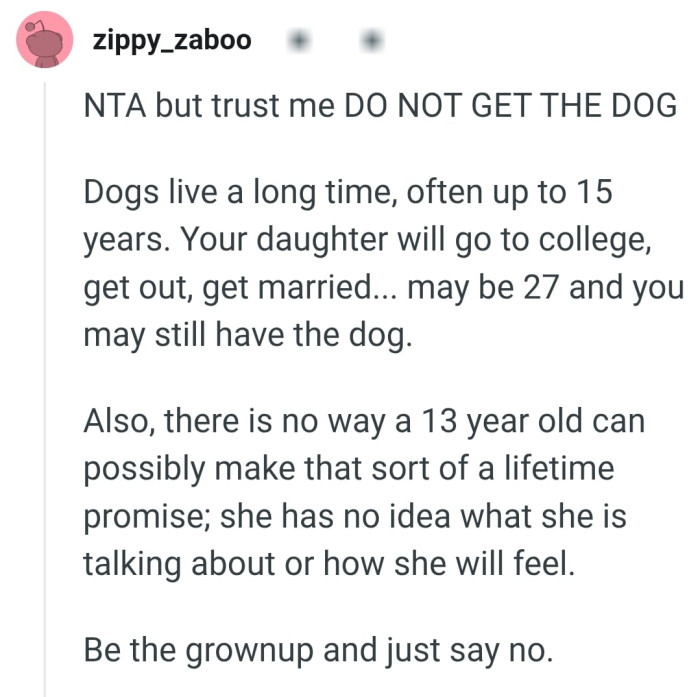 We've gathered some of the most upvoted comments from other Redditors for you to read through below