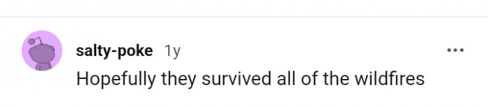 The bird survived all the wildfires