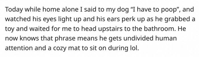 8. "If following you to the bathroom is the only way to get you off your gadgets, so be it!"