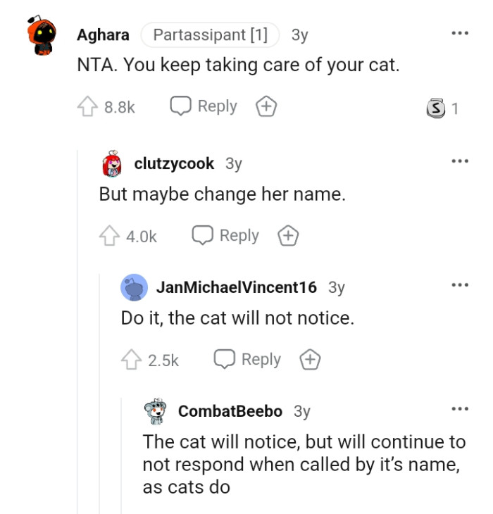 You just keep taking care of your cat