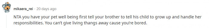 Pets are living beings, and you have to treat them as such.
