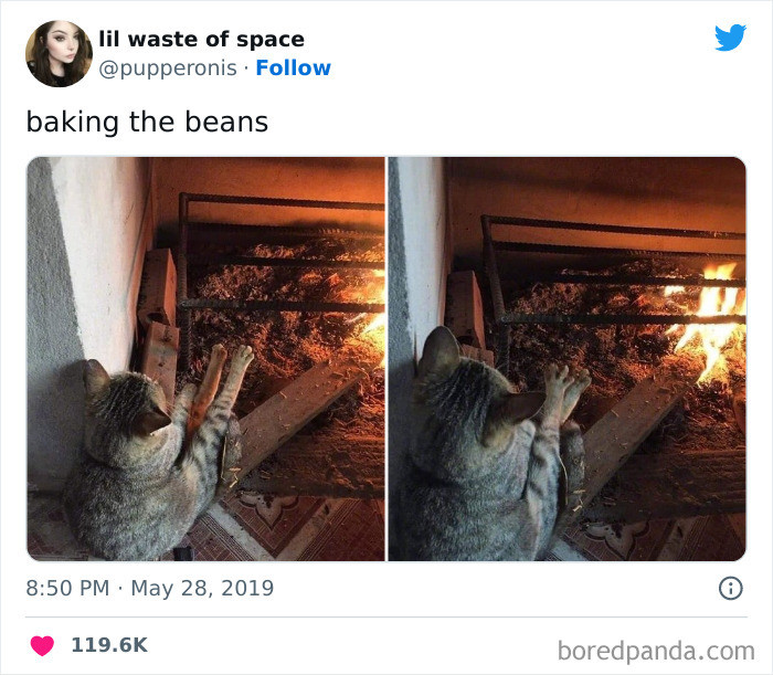 18. Baking the beans