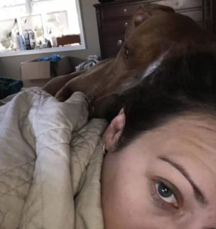 Woody is an incredibly sweet and loving dog according to his caretakers