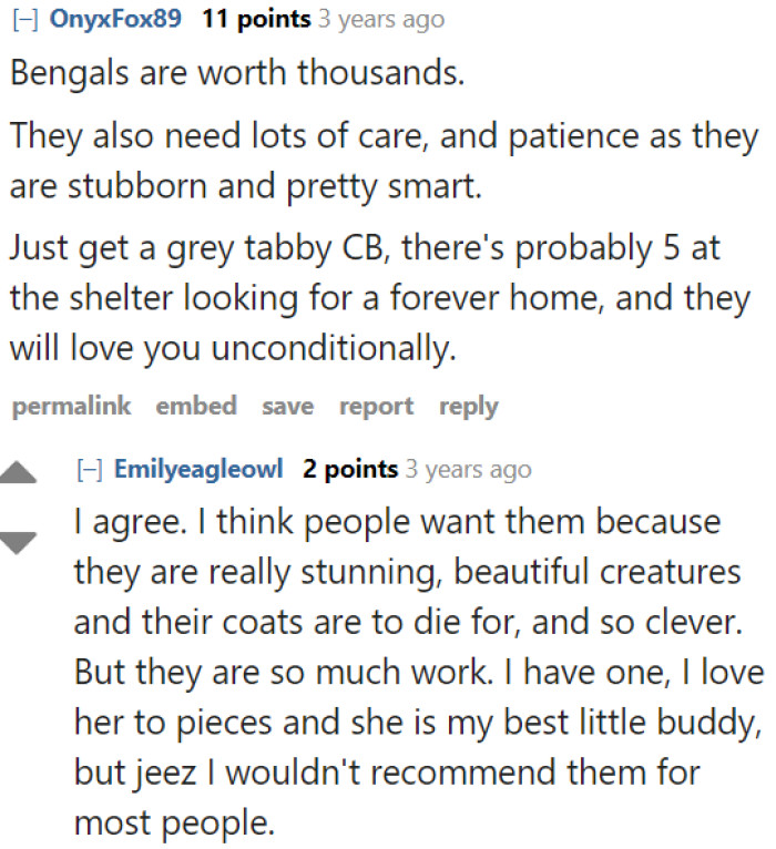 People can't just give these creatures away for free because they're worth thousands. They're a lot of work too.