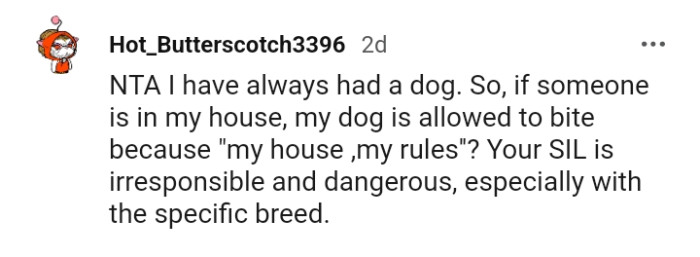 Your SIL is irresponsible and dangerous