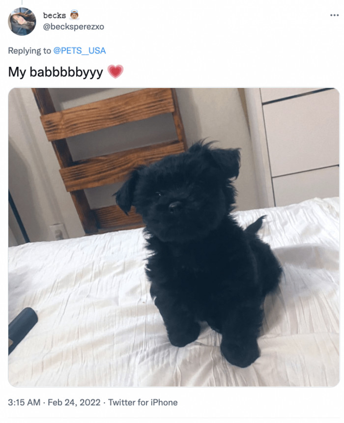 2. Black in all its glory