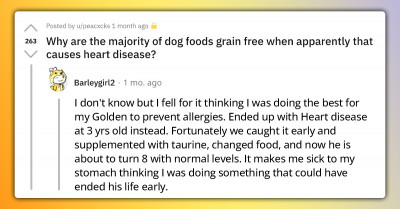 Reddit Community Discusses What Food Is Legitimately Good For Dogs As Opposed To Food That's Just Advertised As "Healthy"