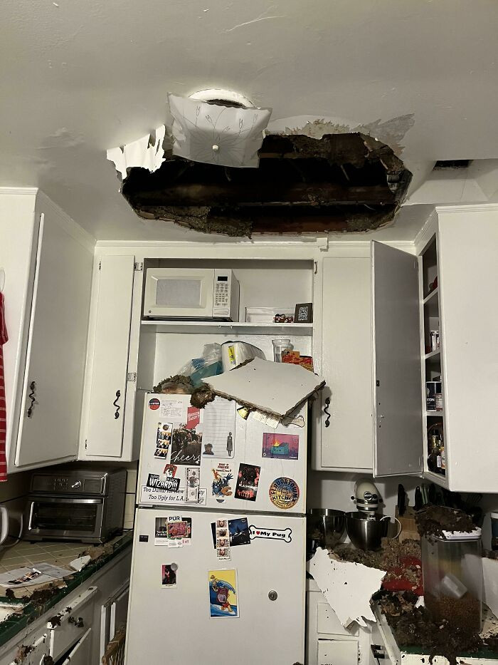 2. I have been requesting the landlord to look into the issue of the drooping roof in my kitchen for several months. When I returned home tonight, I discovered the following situation.