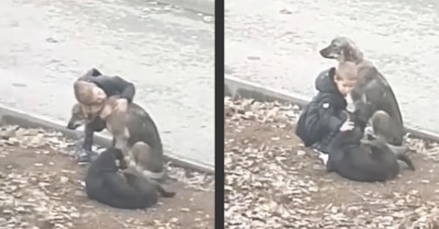 Sweet Child Stops To Hug Abandoned Dogs When He Thinks No One Is Watching