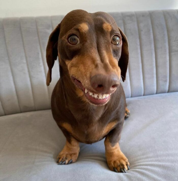 "Say Cheese"