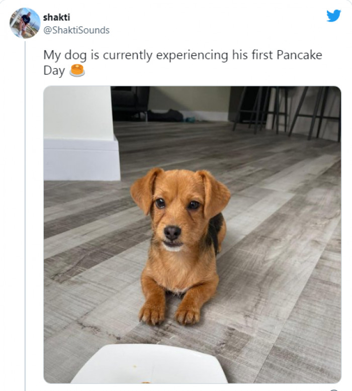 4. This calls for a huge celebration. So where's the party at?