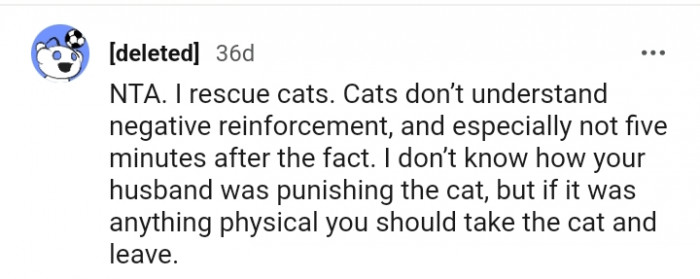 You should take the cat and leave if the punishment is physical