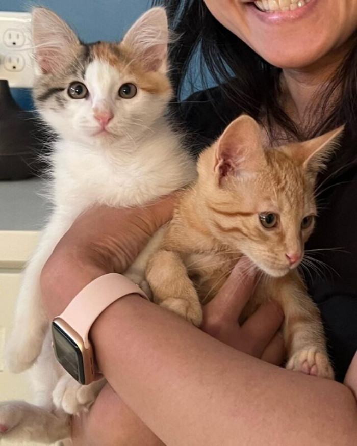 And now they've found a forever home together