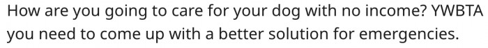 4. She needs a better solution as she can't care for a dog without income.