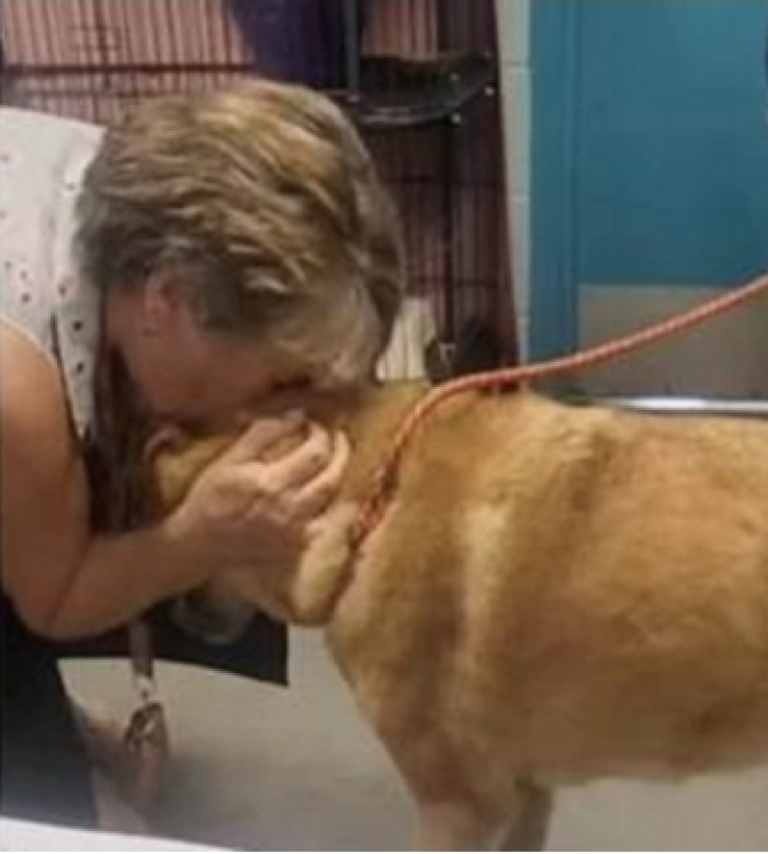 They called her owner to let her know that her four-legged friend had been found safe and sound