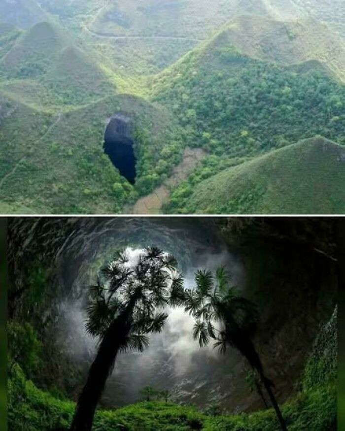 13. Scientists uncovered a hidden forest nearly 200 meters deep inside a sinkhole in Guangxi, China