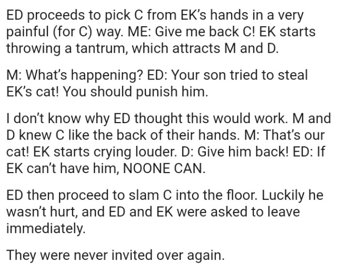 The Entitled Dad Proceeded to Slam the Cat into the Floor, but Luckily, He Wasn't Hurt, and They Were Asked to Leave