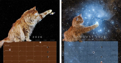 Astrophotographer Andrew McCarthy Pairs Cosmic Beauty With His Rescue Cat’s Charm