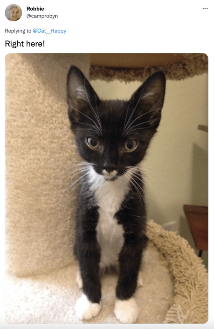 8. A mash-up that everyone loves