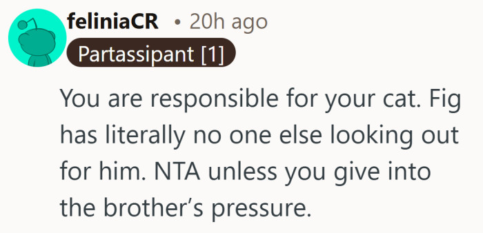 Giving in would be easier, but it would leave her cat with no one on its side.
