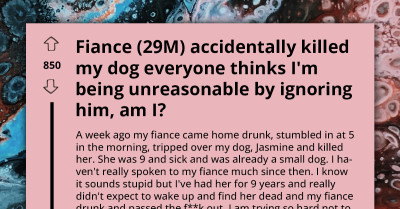 Lady Ignores Her Fiancé After He Got Drunk and Accidentally Killed Her Dog; Everyone Terms Her Unreasonable
