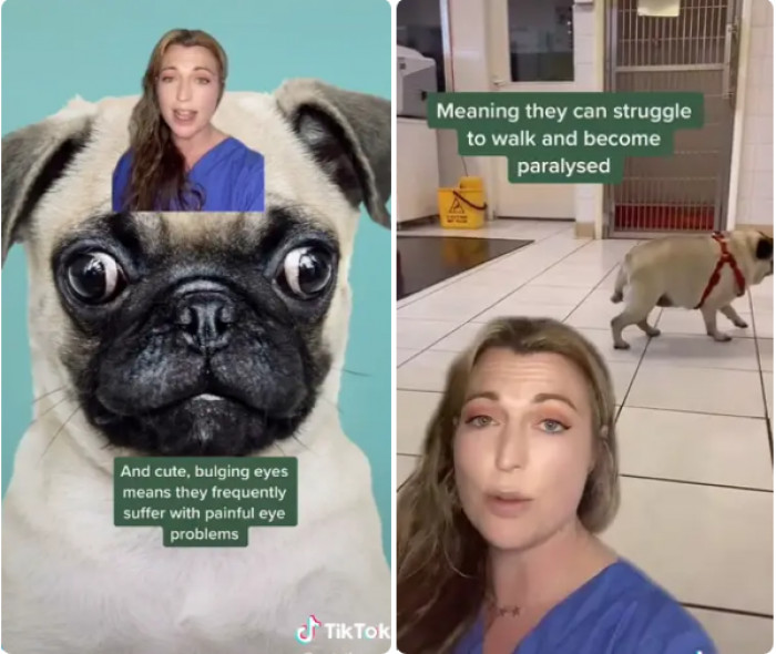 Those cute eyes cause them a lot of problems