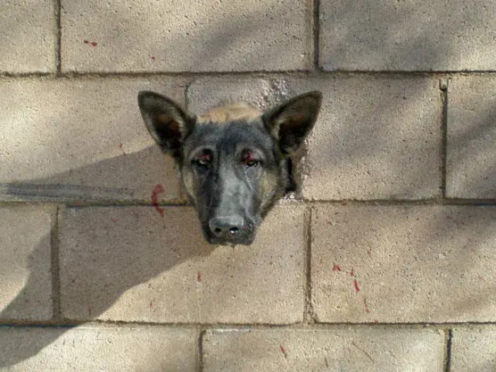 ‘Wow, how’d he get in there?’