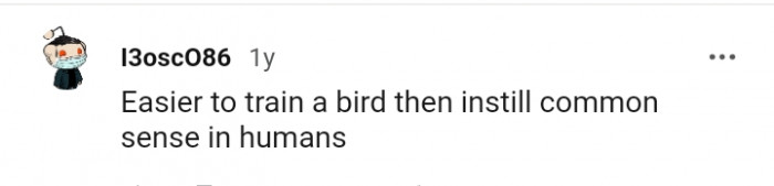 It is easier to train a bird, according to this Redditor