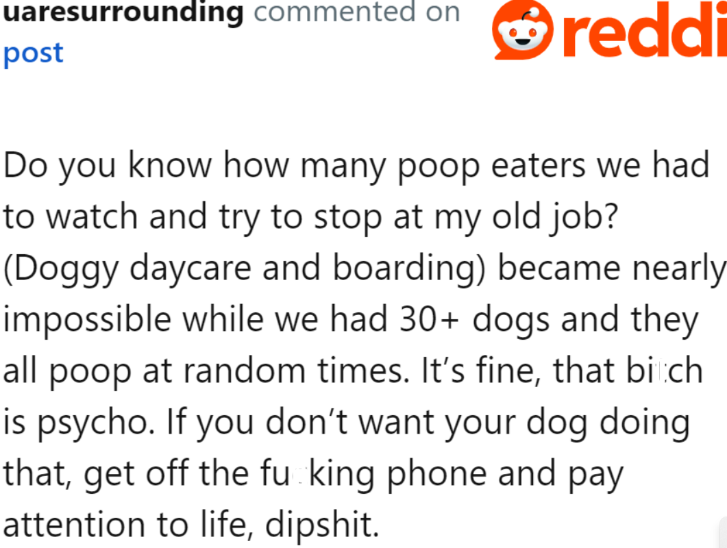 Dog eating poop is pretty common, according to a doggy daycare staff.