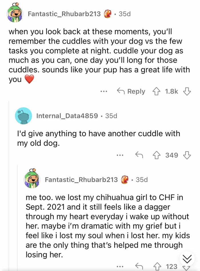 Cuddle more and you'll have no regrets in the future.