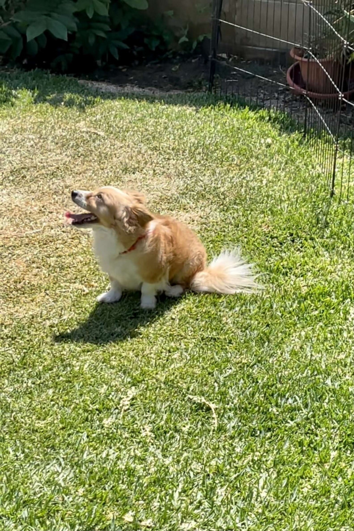 As soon as Buddy realized he was safe, he was no longer scared and immediately came out of his shell.