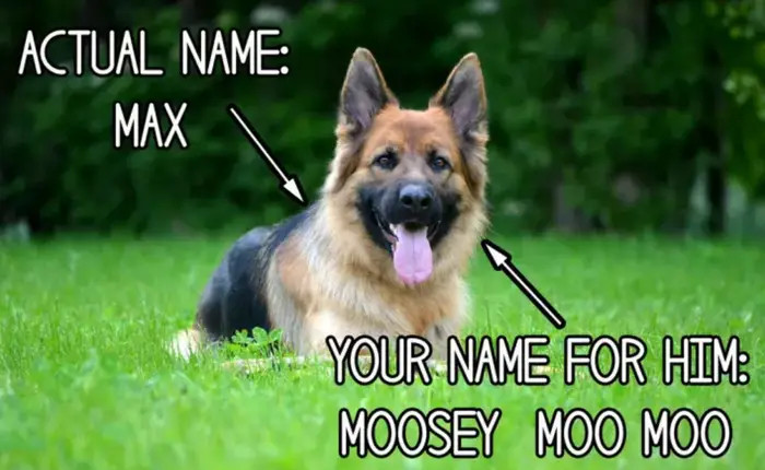 28. It's even more hilarious when you use a baby voice to say things like 'moosey woo is a snoo.'